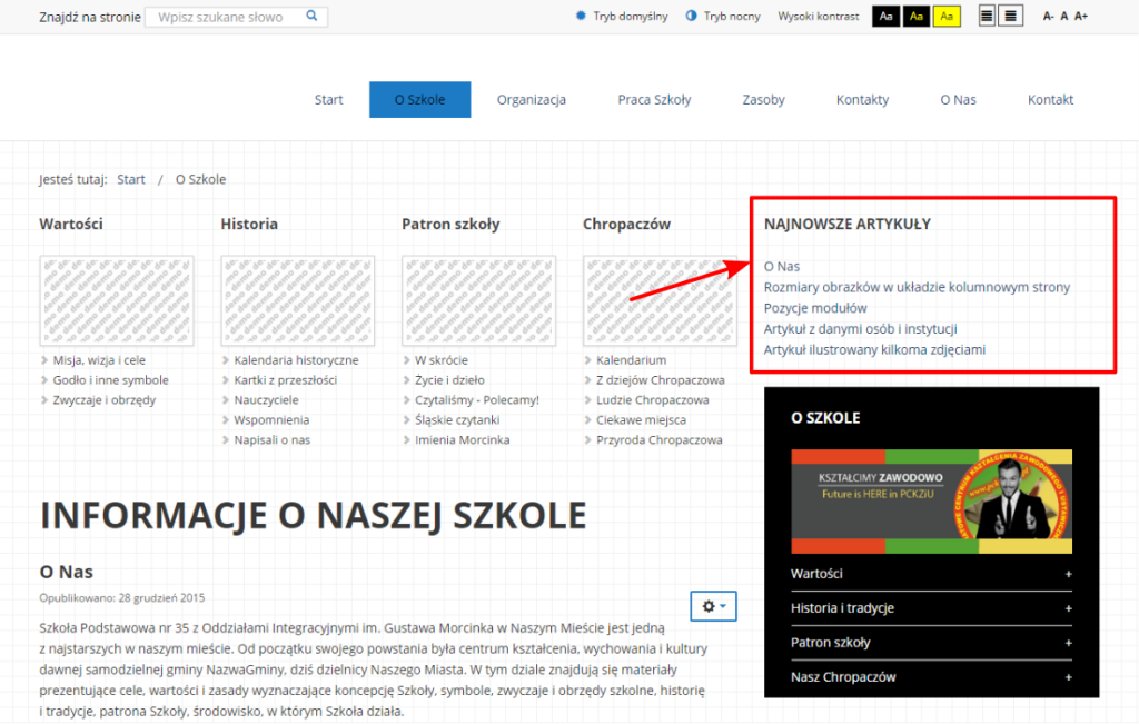 Zrzut ekranu przedstawiający wygląd modułu Artykuły - Nowości w przykładowym serwisie